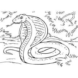 Coloring page: Cobra (Animals) #3308 - Free Printable Coloring Pages