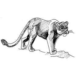 Coloring page: Cougar (Animals) #4385 - Free Printable Coloring Pages