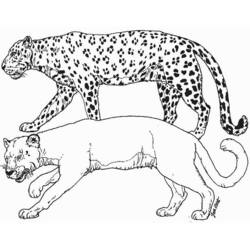 Coloring page: Cougar (Animals) #4414 - Free Printable Coloring Pages