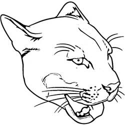 Coloring page: Cougar (Animals) #4415 - Free Printable Coloring Pages