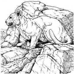 Coloring page: Cougar (Animals) #4470 - Free Printable Coloring Pages