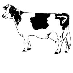 Coloring page: Cow (Animals) #13196 - Free Printable Coloring Pages