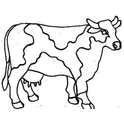 Coloring page: Cow (Animals) #13208 - Free Printable Coloring Pages
