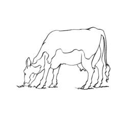 Coloring page: Cow (Animals) #13347 - Free Printable Coloring Pages