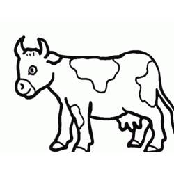 Coloring page: Cow (Animals) #13373 - Free Printable Coloring Pages