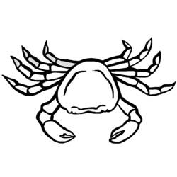 Coloring page: Crab (Animals) #4579 - Free Printable Coloring Pages