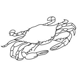 Coloring page: Crab (Animals) #4622 - Free Printable Coloring Pages