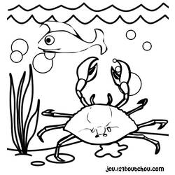 Coloring page: Crab (Animals) #4663 - Free Printable Coloring Pages