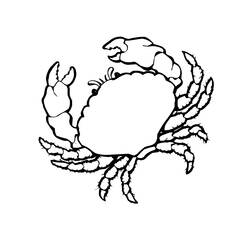 Coloring page: Crab (Animals) #4674 - Free Printable Coloring Pages