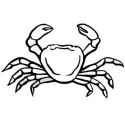 Coloring page: Crab (Animals) #4747 - Free Printable Coloring Pages