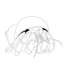 Coloring page: Crab (Animals) #4767 - Free Printable Coloring Pages