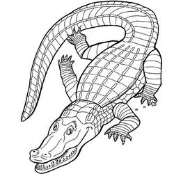 Coloring page: Crocodile (Animals) #4791 - Free Printable Coloring Pages