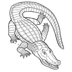 Coloring page: Crocodile (Animals) #4817 - Free Printable Coloring Pages