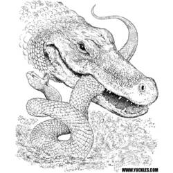 Coloring page: Crocodile (Animals) #4854 - Free Printable Coloring Pages