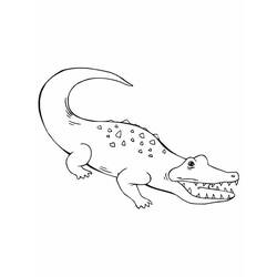 Coloring page: Crocodile (Animals) #4961 - Free Printable Coloring Pages