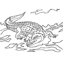 Coloring page: Crocodile (Animals) #4984 - Free Printable Coloring Pages