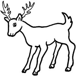 Coloring page: Deer (Animals) #2561 - Free Printable Coloring Pages