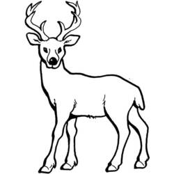 Coloring page: Deer (Animals) #2581 - Free Printable Coloring Pages