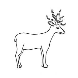 Coloring page: Deer (Animals) #2609 - Free Printable Coloring Pages