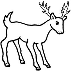 Coloring page: Deer (Animals) #2650 - Free Printable Coloring Pages