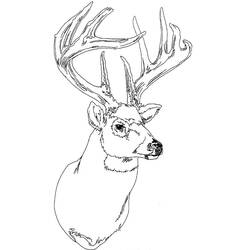 Coloring page: Deer (Animals) #2662 - Free Printable Coloring Pages