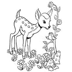 Coloring page: Deer (Animals) #2723 - Free Printable Coloring Pages