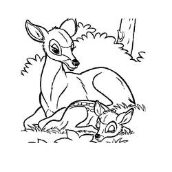 Coloring page: Doe (Animals) #1092 - Free Printable Coloring Pages
