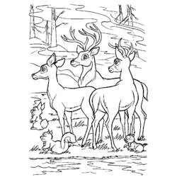 Coloring page: Doe (Animals) #1099 - Free Printable Coloring Pages