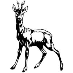 Coloring page: Doe (Animals) #1104 - Free Printable Coloring Pages
