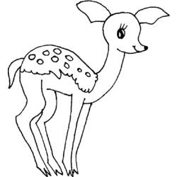 Coloring page: Doe (Animals) #1142 - Free Printable Coloring Pages