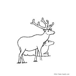 Coloring page: Doe (Animals) #1157 - Free Printable Coloring Pages