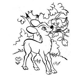 Coloring page: Doe (Animals) #1172 - Free Printable Coloring Pages