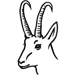 Coloring page: Doe (Animals) #1185 - Free Printable Coloring Pages