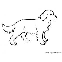 Coloring page: Dog (Animals) #14 - Free Printable Coloring Pages