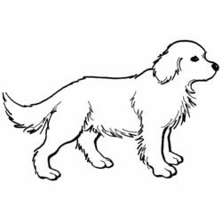 Coloring page: Dog (Animals) #3158 - Free Printable Coloring Pages