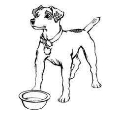 Coloring page: Dog (Animals) #4 - Free Printable Coloring Pages