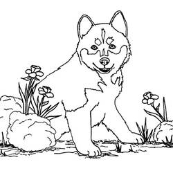 Coloring page: Dog (Animals) #61 - Free Printable Coloring Pages