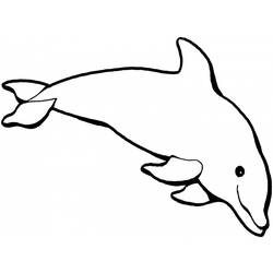 Coloring page: Dolphin (Animals) #5095 - Free Printable Coloring Pages