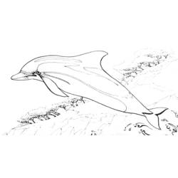 Coloring page: Dolphin (Animals) #5140 - Free Printable Coloring Pages