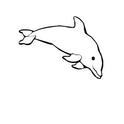 Coloring page: Dolphin (Animals) #5161 - Free Printable Coloring Pages