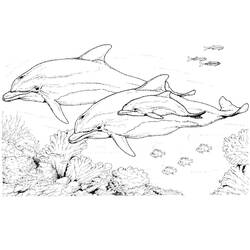 Coloring page: Dolphin (Animals) #5168 - Free Printable Coloring Pages