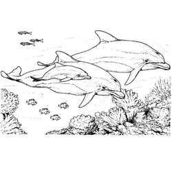 Coloring page: Dolphin (Animals) #5195 - Free Printable Coloring Pages