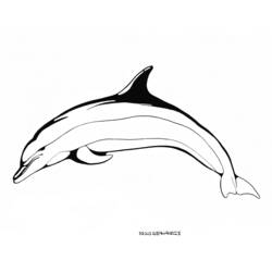 Coloring page: Dolphin (Animals) #5220 - Free Printable Coloring Pages
