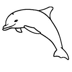 Coloring page: Dolphin (Animals) #5283 - Free Printable Coloring Pages