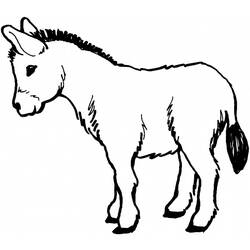 Coloring page: Donkey (Animals) #475 - Free Printable Coloring Pages