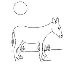 Coloring page: Donkey (Animals) #482 - Free Printable Coloring Pages