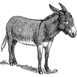 Coloring page: Donkey (Animals) #572 - Free Printable Coloring Pages