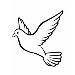 Coloring page: Dove (Animals) #3912 - Free Printable Coloring Pages