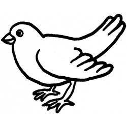 Coloring page: Dove (Animals) #3959 - Free Printable Coloring Pages
