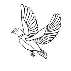 Coloring page: Dove (Animals) #3986 - Free Printable Coloring Pages